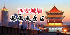 搞屄小穴视频中国陕西-西安城墙旅游风景区