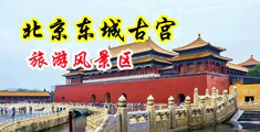 插爆小穴视频中国北京-东城古宫旅游风景区